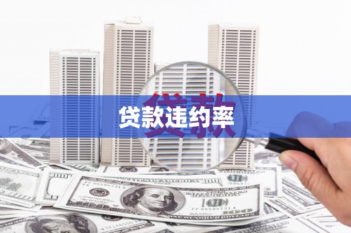 施秉贷款违约率