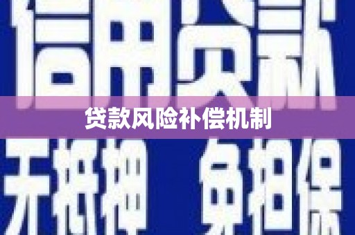 施秉贷款风险补偿机制