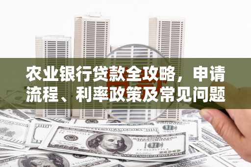 施秉农业银行贷款全攻略，申请流程、利率政策及常见问题解析