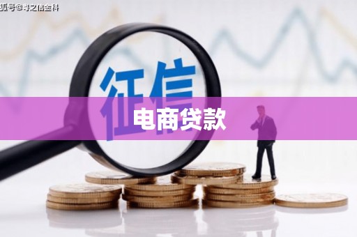 施秉电商贷款