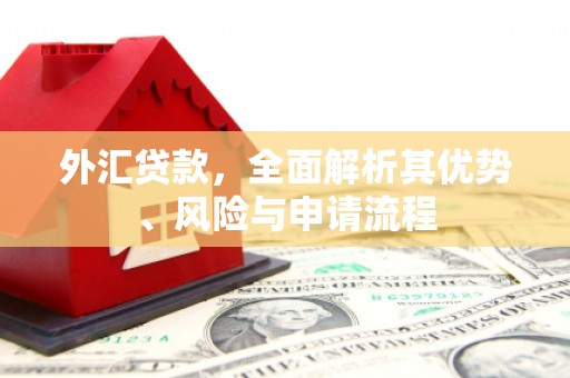 施秉外汇贷款，全面解析其优势、风险与申请流程