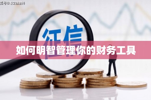 施秉如何明智管理你的财务工具