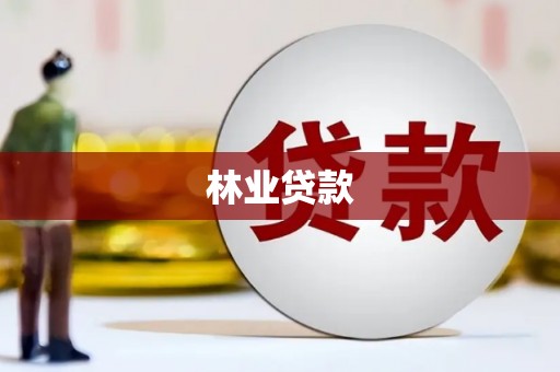 施秉林业贷款