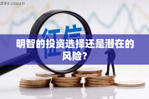 施秉明智的投资选择还是潜在的风险？
