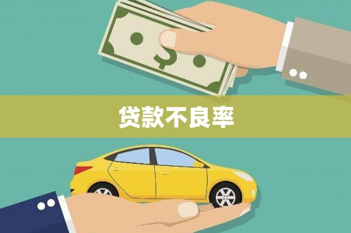 施秉贷款不良率