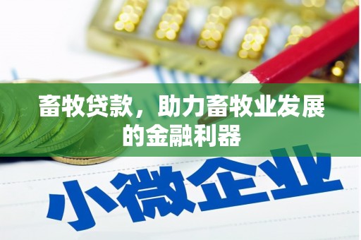 施秉畜牧贷款，助力畜牧业发展的金融利器