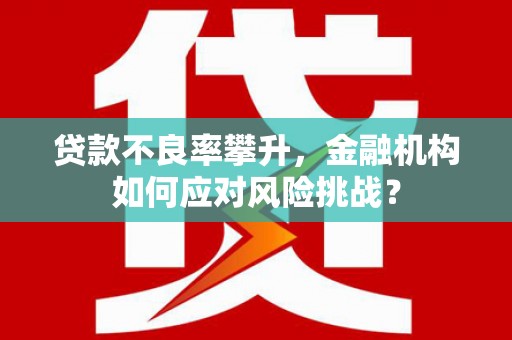 施秉贷款不良率攀升，金融机构如何应对风险挑战？