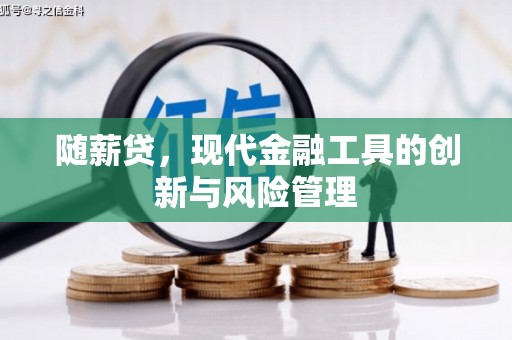 施秉随薪贷，现代金融工具的创新与风险管理