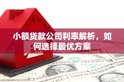 施秉小额贷款公司利率解析，如何选择最优方案