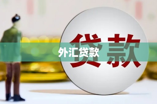 施秉外汇贷款