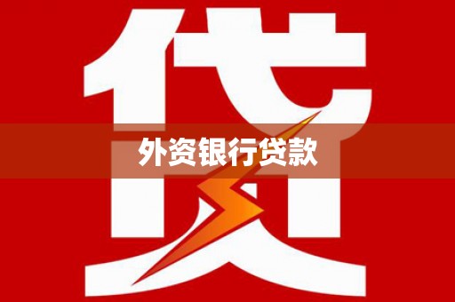施秉外资银行贷款