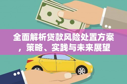 施秉全面解析贷款风险处置方案，策略、实践与未来展望