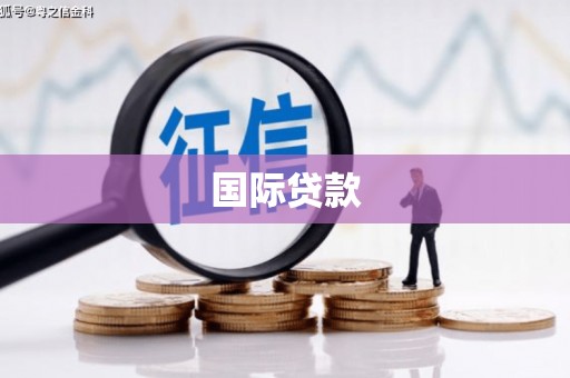 施秉国际贷款