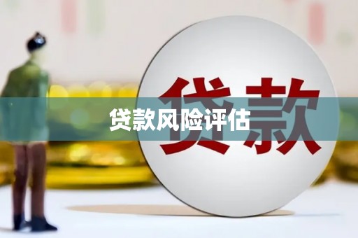 施秉贷款风险评估