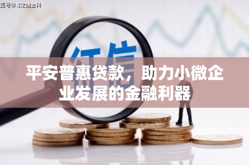 施秉平安普惠贷款，助力小微企业发展的金融利器