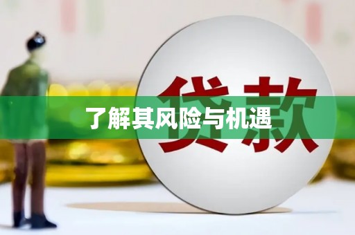 施秉了解其风险与机遇