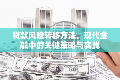 施秉贷款风险转移方法，现代金融中的关键策略与实践
