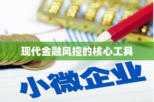 施秉现代金融风控的核心工具