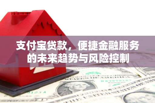 施秉支付宝贷款，便捷金融服务的未来趋势与风险控制