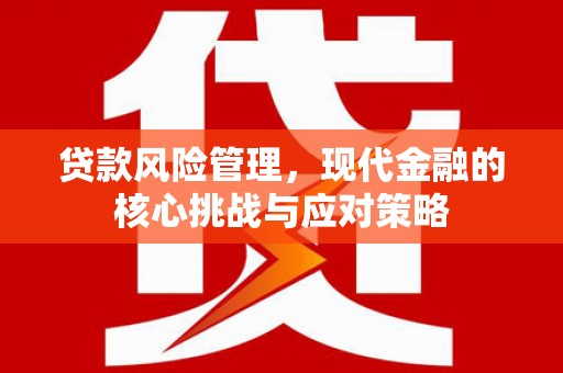 施秉贷款风险管理，现代金融的核心挑战与应对策略