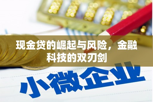 施秉现金贷的崛起与风险，金融科技的双刃剑