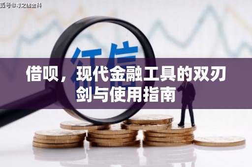 施秉借呗，现代金融工具的双刃剑与使用指南