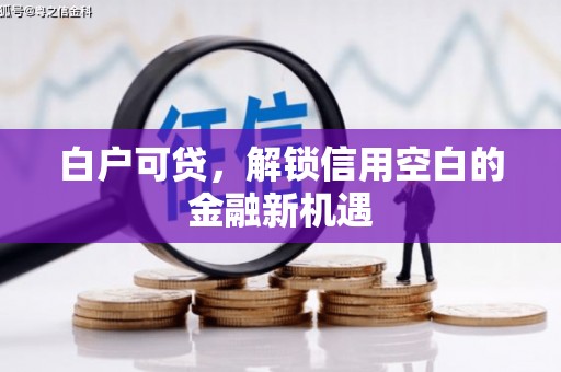 施秉白户可贷，解锁信用空白的金融新机遇