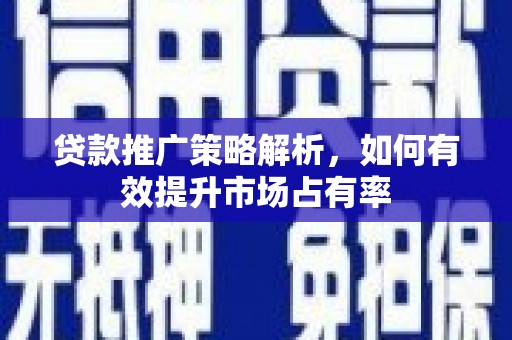 施秉贷款推广策略解析，如何有效提升市场占有率