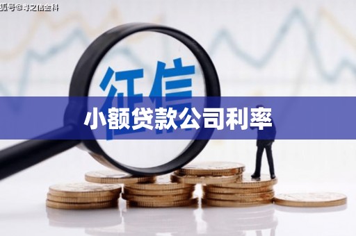 施秉小额贷款公司利率