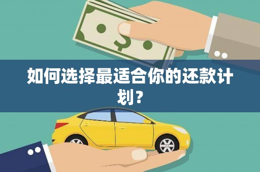 施秉如何选择最适合你的还款计划？