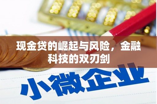 施秉现金贷的崛起与风险，金融科技的双刃剑