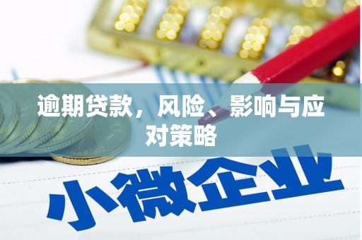 施秉逾期贷款，风险、影响与应对策略