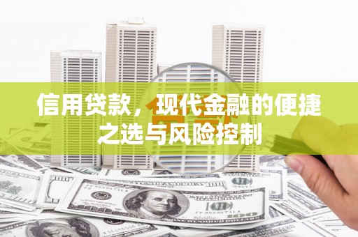 施秉信用贷款，现代金融的便捷之选与风险控制