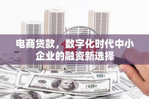 施秉电商贷款，数字化时代中小企业的融资新选择