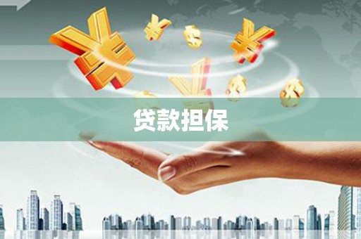 施秉贷款担保