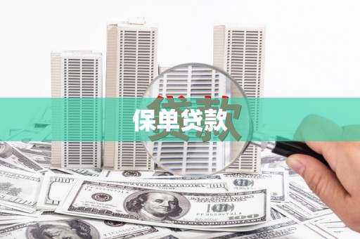 施秉保单贷款