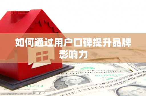 施秉如何通过用户口碑提升品牌影响力