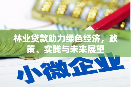 施秉林业贷款助力绿色经济，政策、实践与未来展望