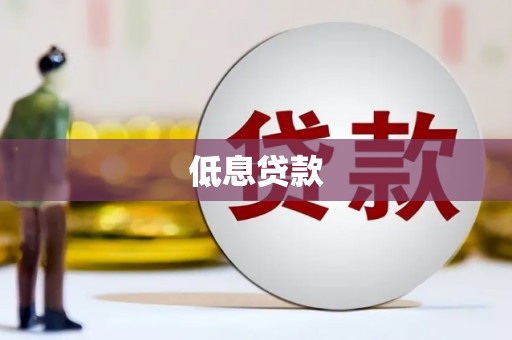 施秉低息贷款