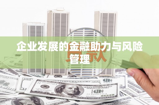 施秉企业发展的金融助力与风险管理