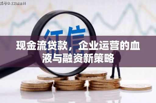 施秉现金流贷款，企业运营的血液与融资新策略