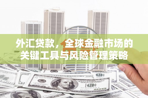 施秉外汇贷款，全球金融市场的关键工具与风险管理策略