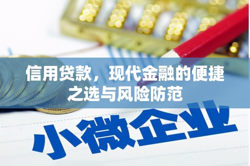 施秉信用贷款，现代金融的便捷之选与风险防范