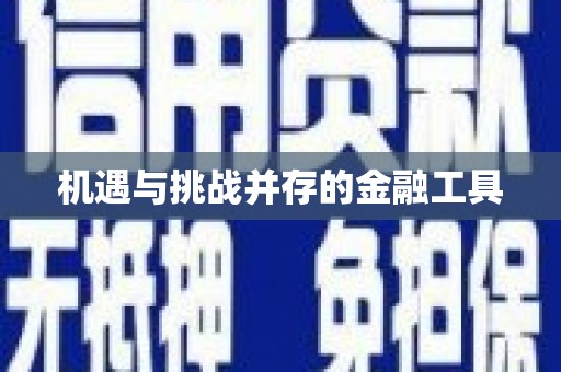 施秉机遇与挑战并存的金融工具