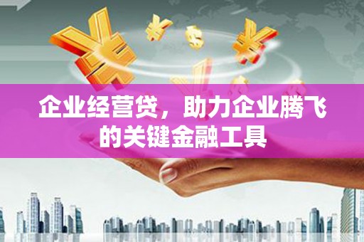 施秉企业经营贷，助力企业腾飞的关键金融工具