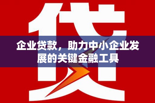 施秉企业贷款，助力中小企业发展的关键金融工具