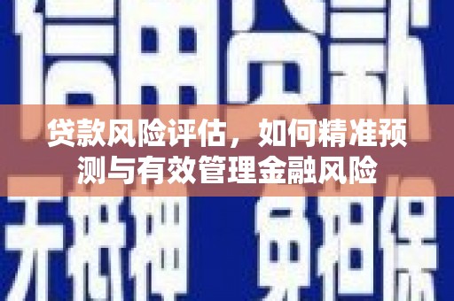 施秉贷款风险评估，如何精准预测与有效管理金融风险
