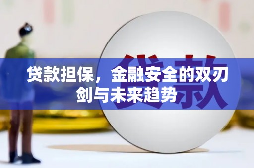 施秉贷款担保，金融安全的双刃剑与未来趋势