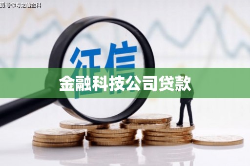 施秉金融科技公司贷款