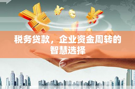 施秉税务贷款，企业资金周转的智慧选择